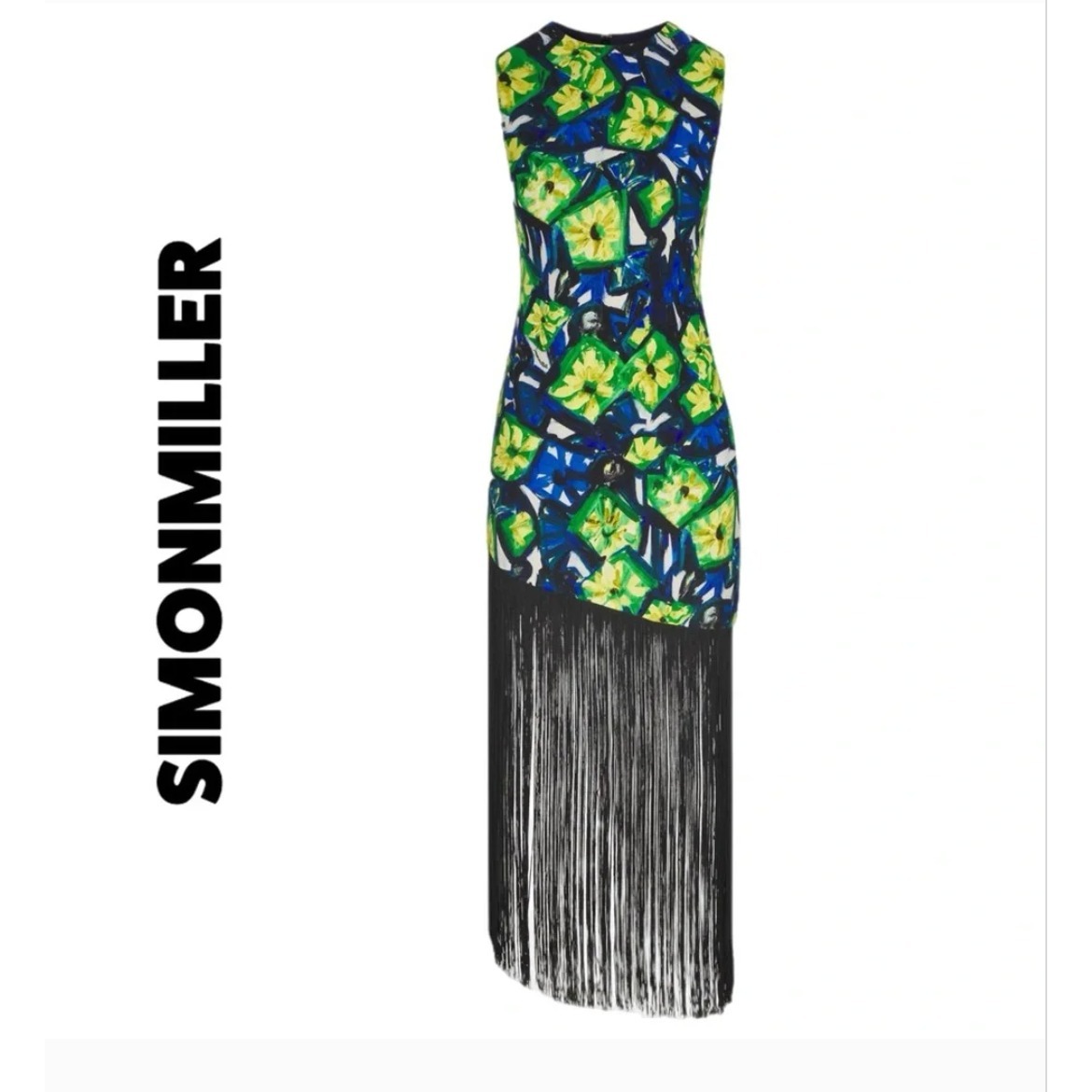 Simon Miller Fringe Dress Abstract Floral Size Medium Anthropologie New